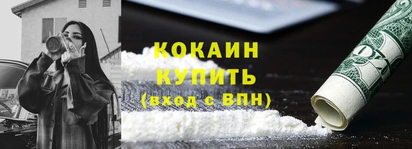 ПСИЛОЦИБИНОВЫЕ ГРИБЫ Новозыбков