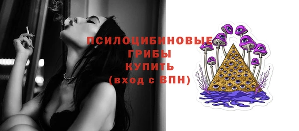 ПСИЛОЦИБИНОВЫЕ ГРИБЫ Новозыбков