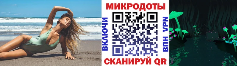 что такое наркотик Подпорожье Псилоцибиновые грибы Psilocybine cubensis